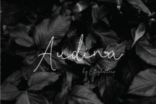 Audina Script Font: Sweet, Stylish & Made for Makers