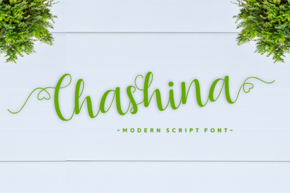 Chashina: A Handwritten Font That Makes Your Brand Feel Human