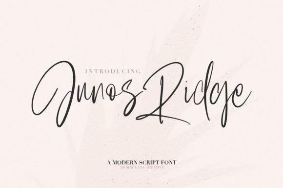 Junos Ridge: A Bold Script Font for Scroll-Stopping Campaigns